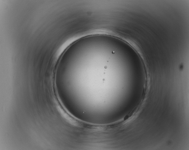 X0000112891438200908281650