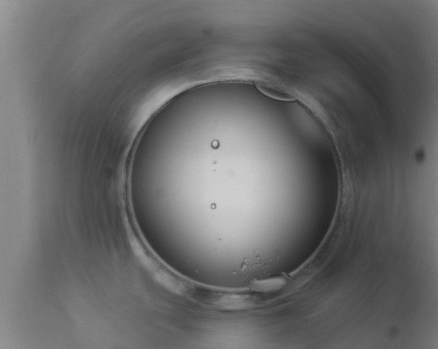 X0000112891439200908281650