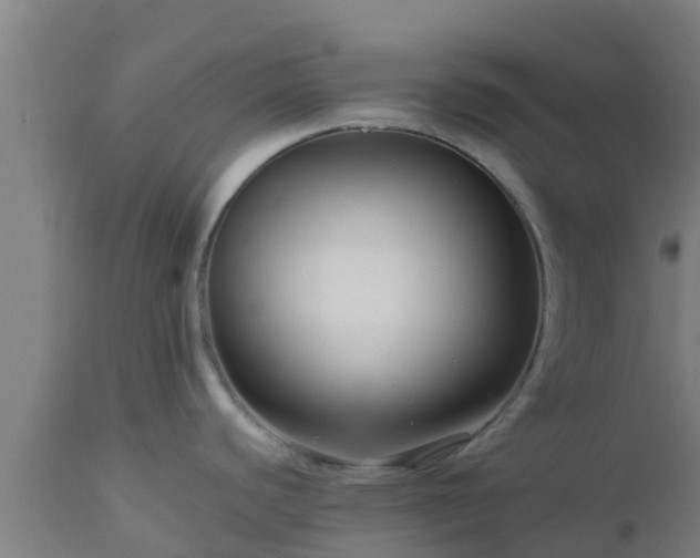 X0000112891440200908281650