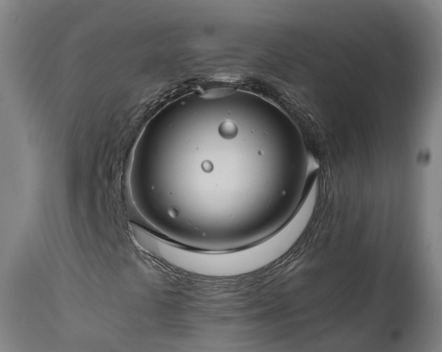 X0000112891441200908281650