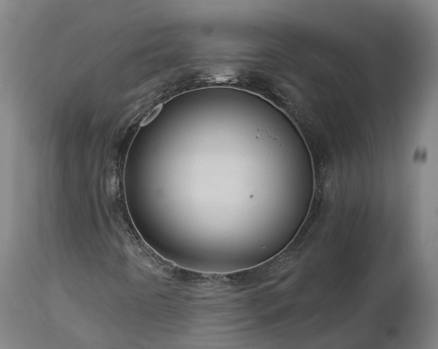X0000112891442200908281650