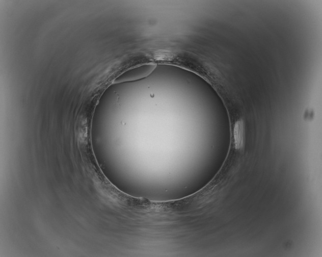 X0000112891443200908281650