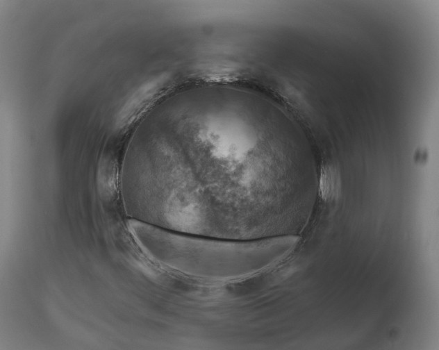X0000112891444200908281650