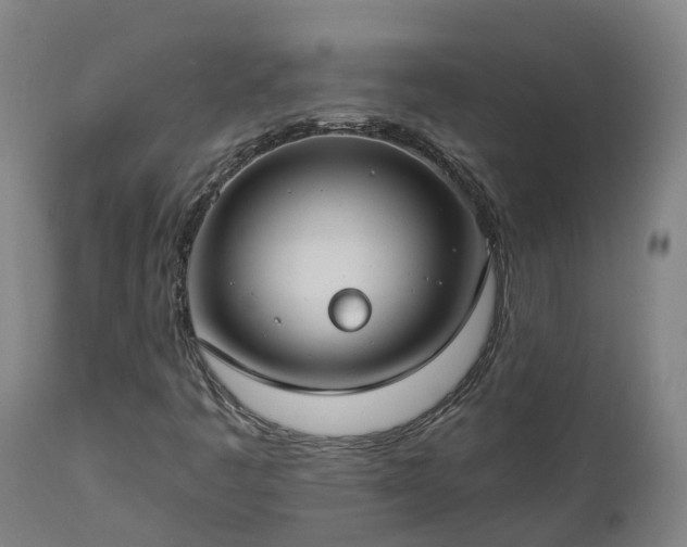 X0000112891445200908281650