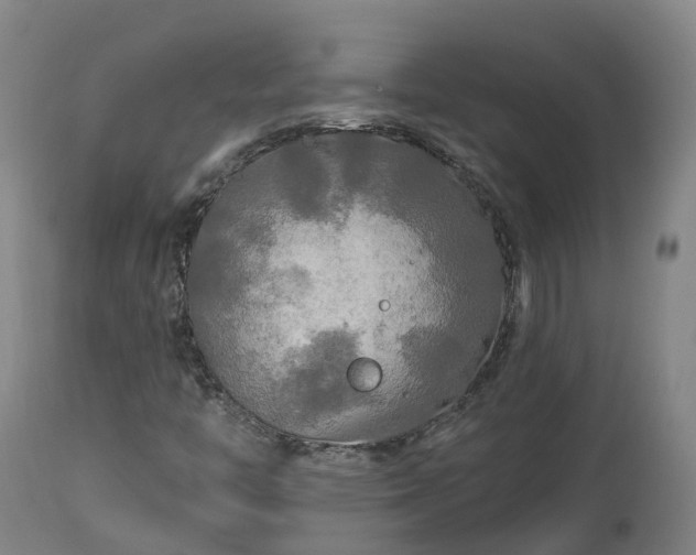 X0000112891446200908281650