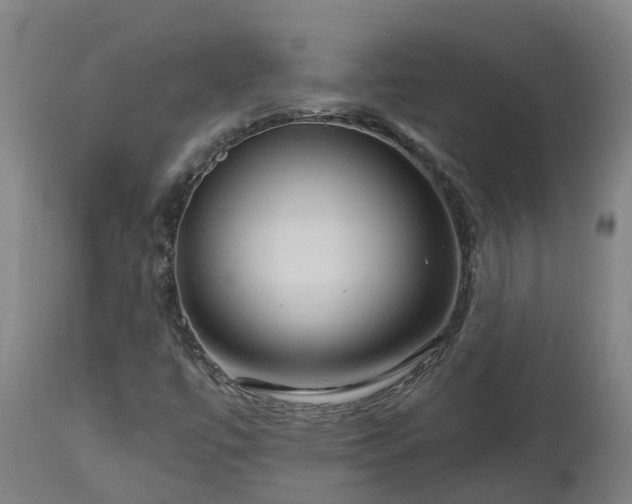 X0000112891447200908281649