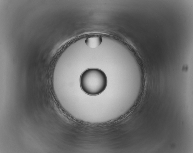 X0000112891448200908281649