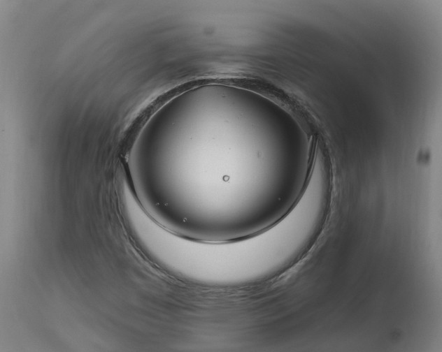 X0000112891449200908281649