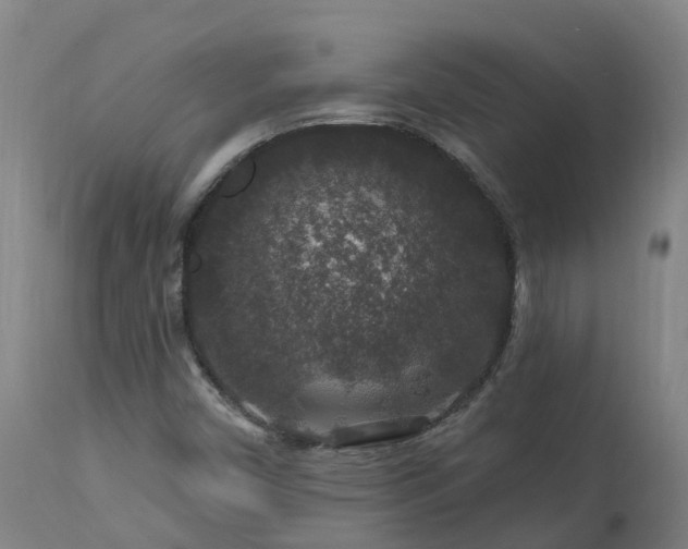 X0000112891450200908281649