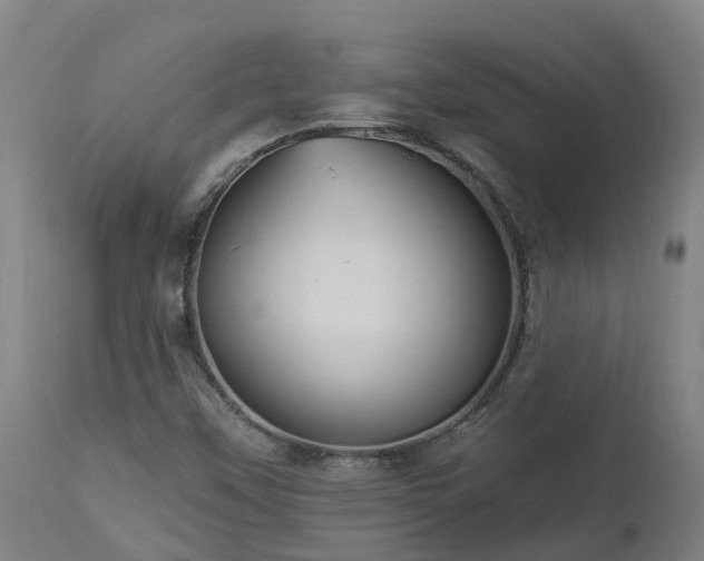 X0000112891451200908281649