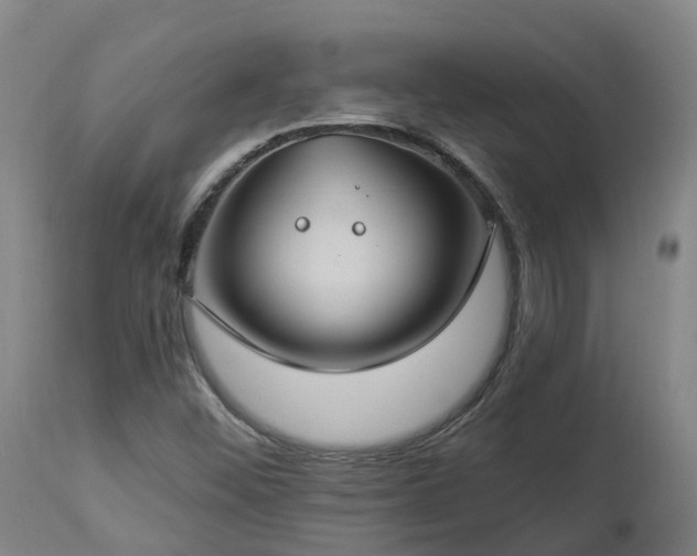 X0000112891452200908281649