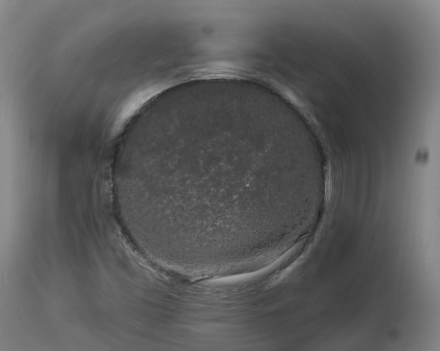 X0000112891453200908281649