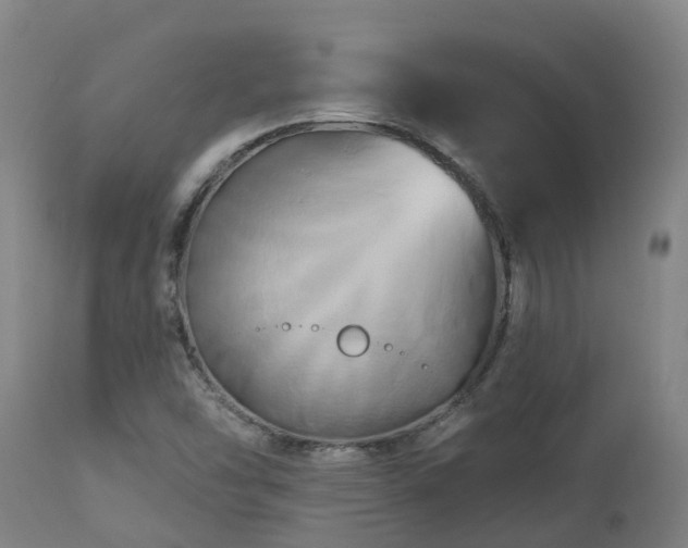 X0000112891454200908281649