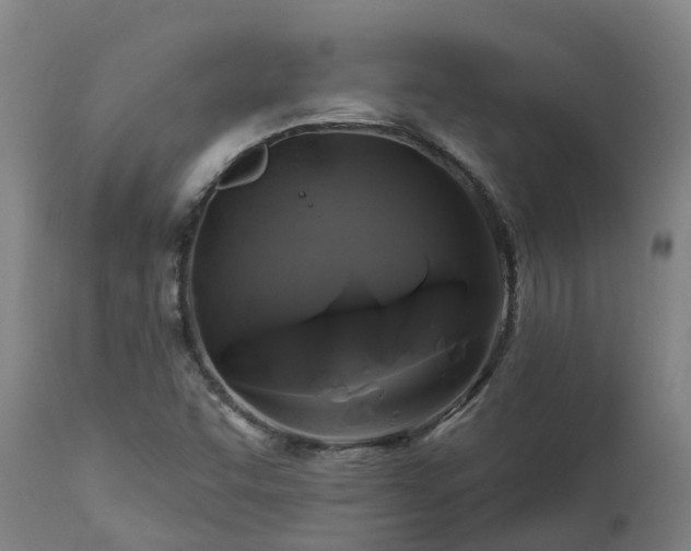 X0000112891455200908281649