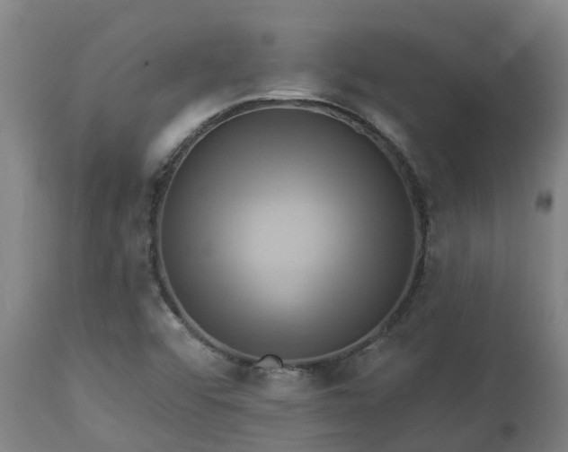 X0000112891456200908281649