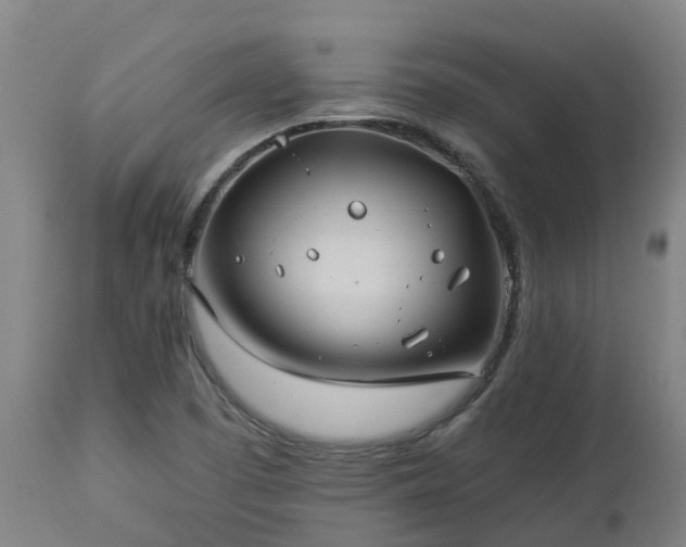 X0000112891457200908281649