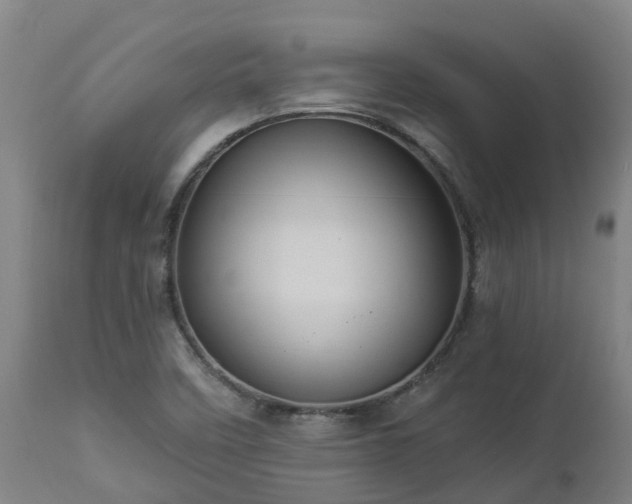 X0000112891458200908281649