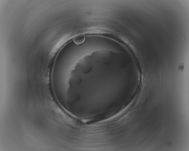X0000112891459200908281649