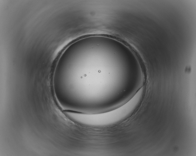 X0000112891460200908281649