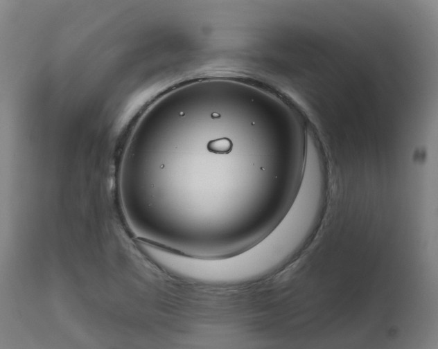 X0000112891461200908281649