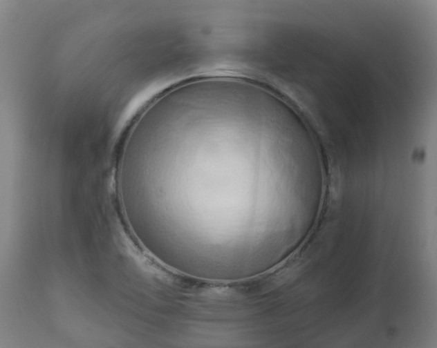 X0000112891462200908281649