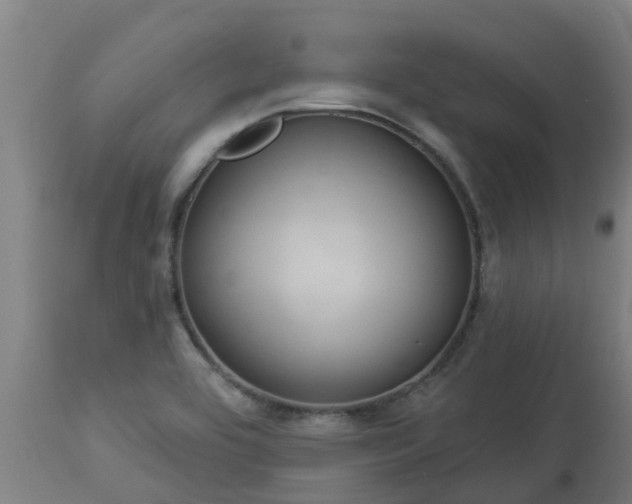 X0000112891464200908281649