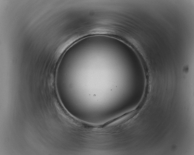 X0000112891465200908281649