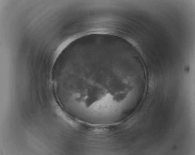 X0000112891466200908281649