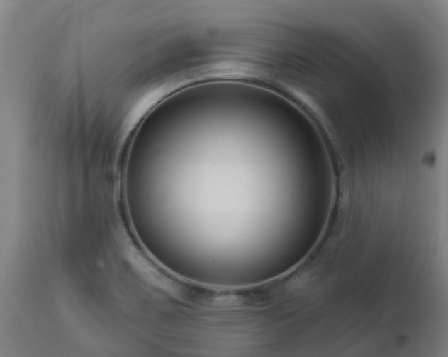 X0000112891467200908281649