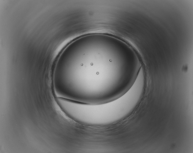X0000112891468200908281649