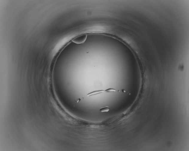 X0000112891469200908281649