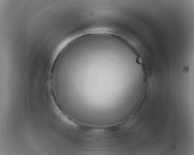 X0000112891470200908281649