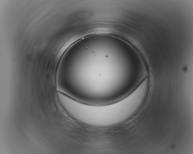 X0000112891473200908281649