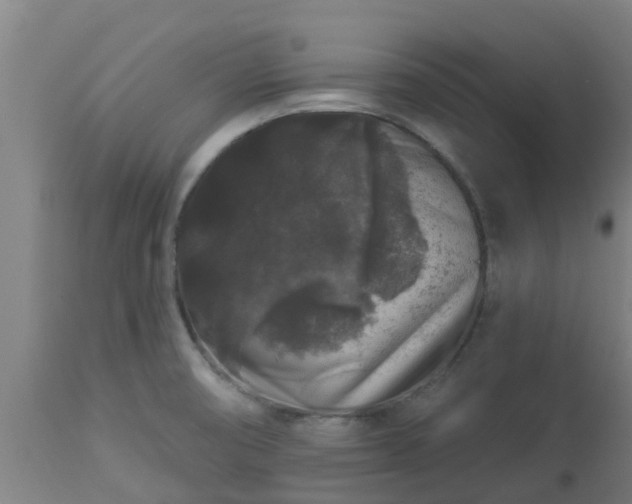 X0000112891474200908281649
