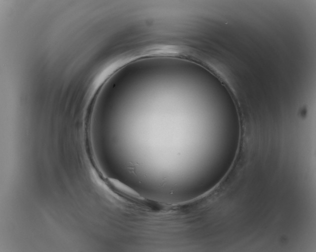 X0000112891475200908281649