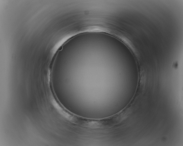 X0000112891476200908281649