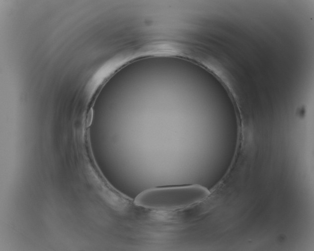 X0000112891477200908281649