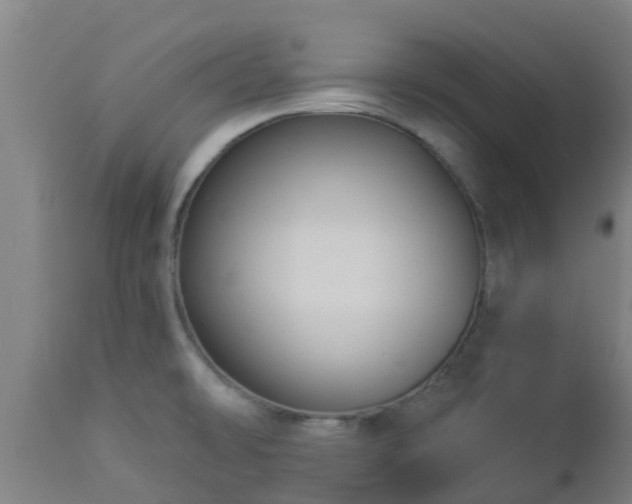 X0000112891478200908281649