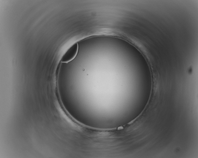 X0000112891479200908281649