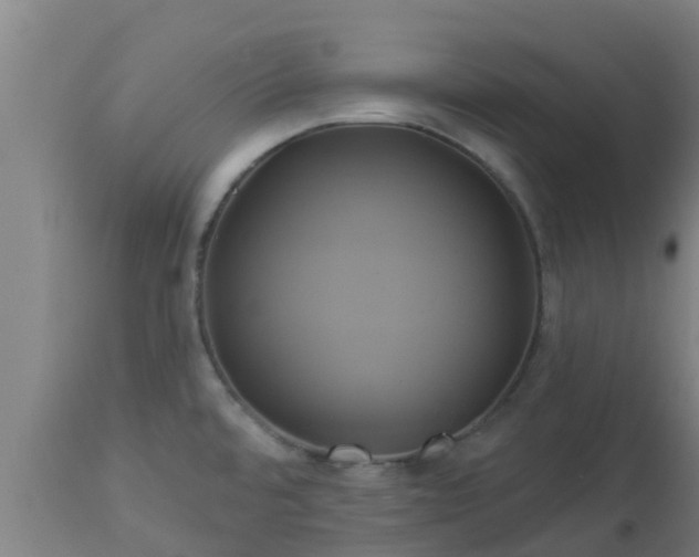 X0000112891480200908281649