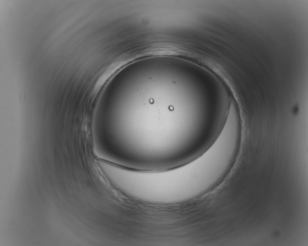 X0000112891481200908281649