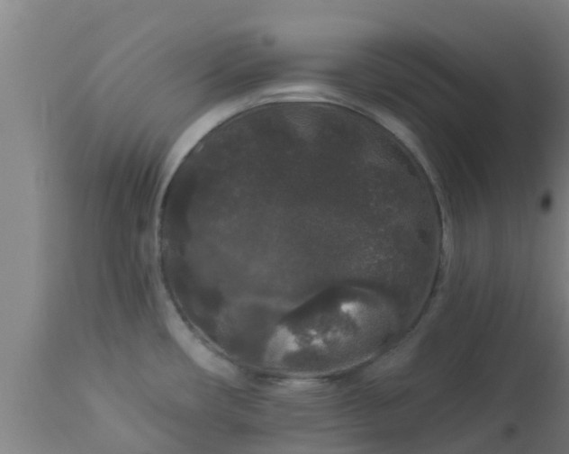 X0000112891482200908281649