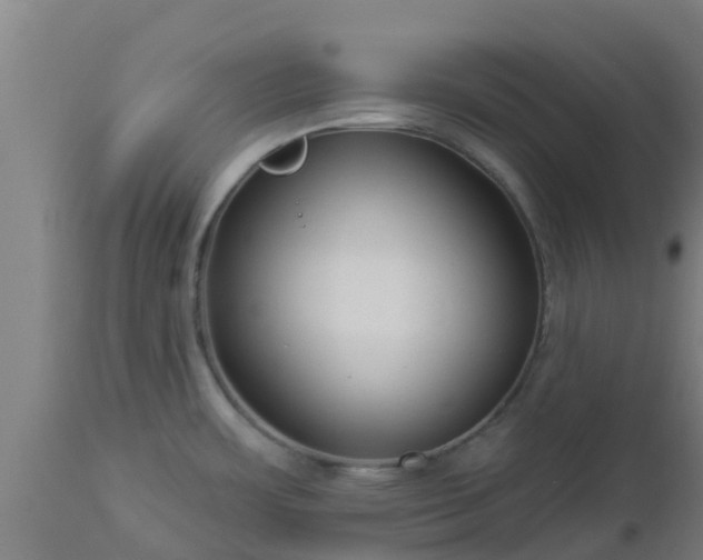 X0000112891483200908281649