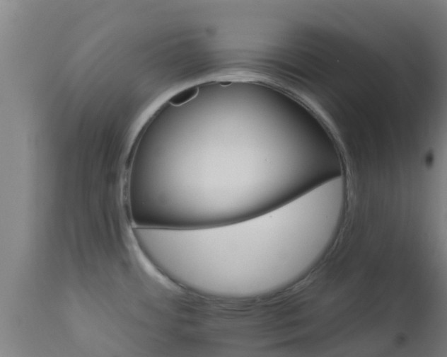 X0000112891484200908281649