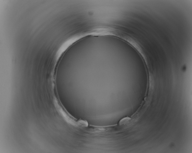 X0000112891485200908281649