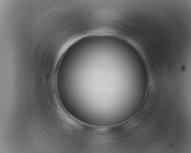 X0000112891486200908281649