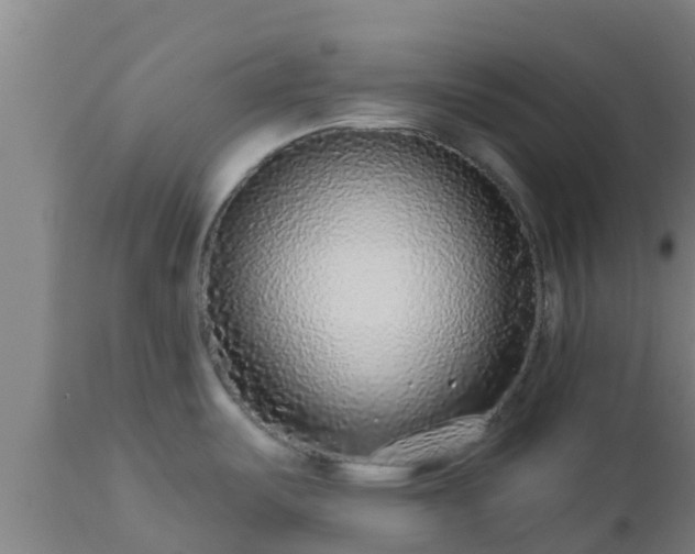 X0000112891487200908281649
