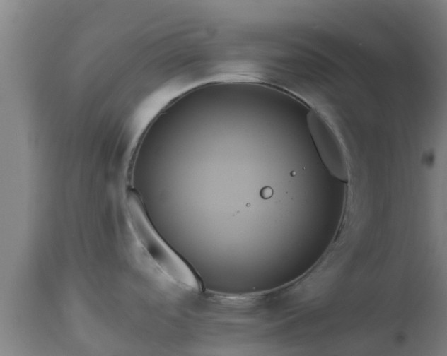 X0000112891488200908281649