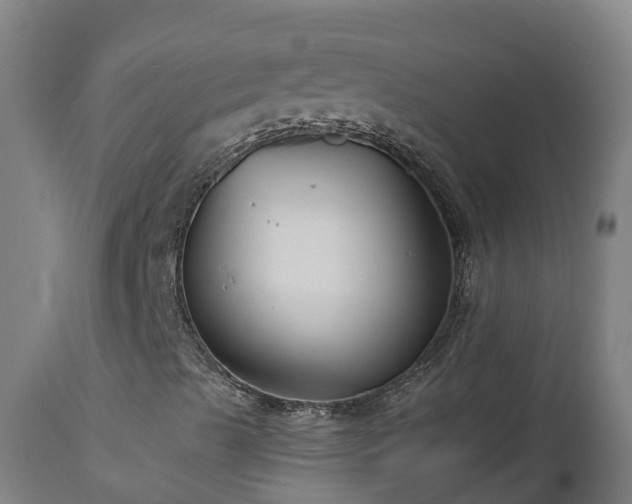 X0000112891489200908281648