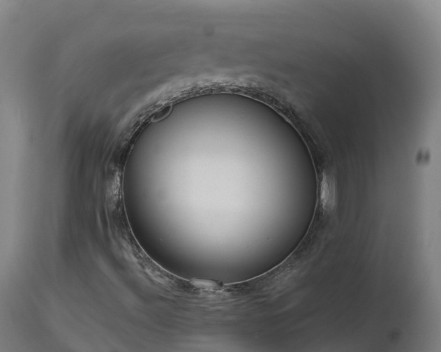 X0000112891492200908281648